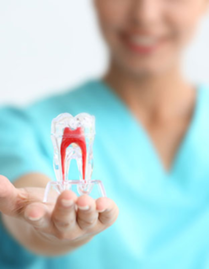 Implantología, Rehabilitación dental, Limpieza dental, Operatoria dental, Endodoncia mecanizada, Ortopedia y ortodoncia, Estética dental en Bahía Blanca - Consultorio odontológico privado