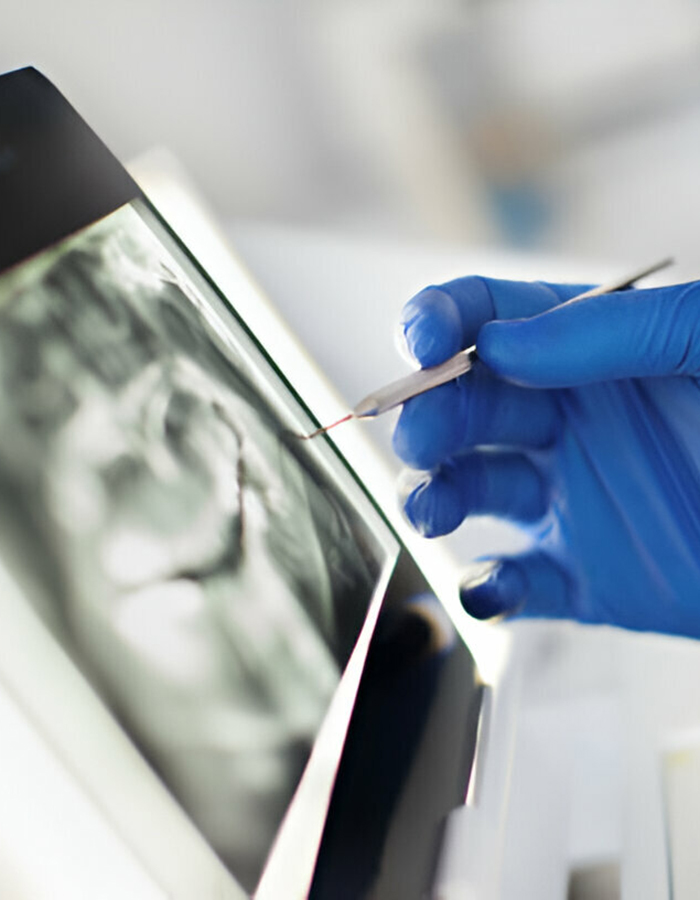 Implantología, Rehabilitación dental, Limpieza dental, Operatoria dental, Endodoncia mecanizada, Ortopedia y ortodoncia, Estética dental en Bahía Blanca - Consultorio odontológico privado